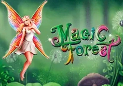 Magic Forest